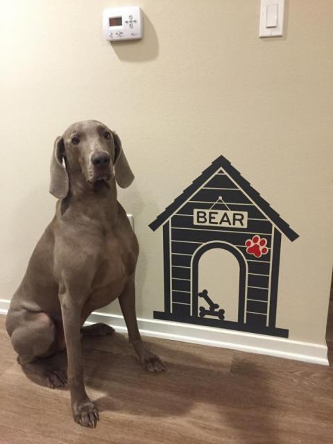 Bear w dog house